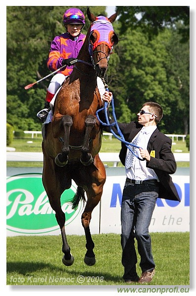 Bratislava - 11. máj 2008 
