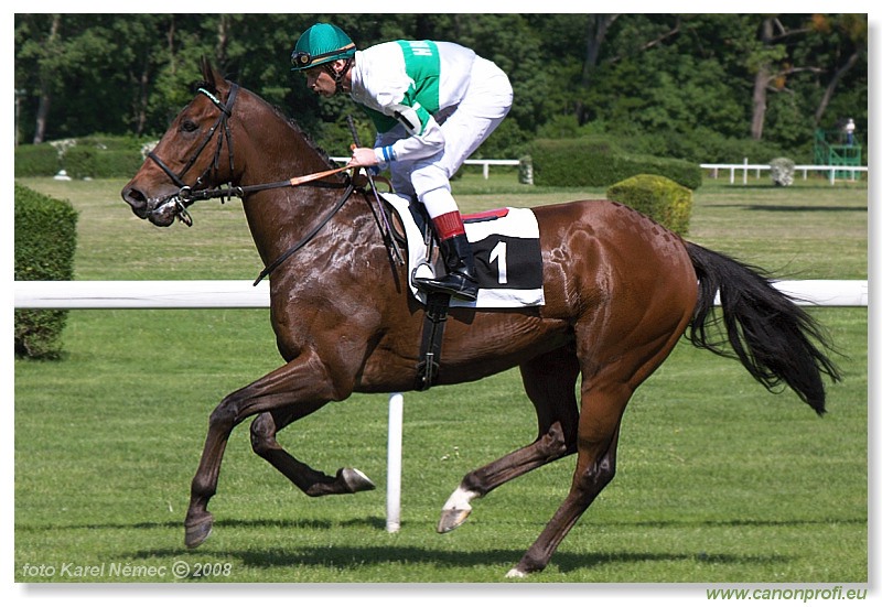 Bratislava - 11. máj 2008 