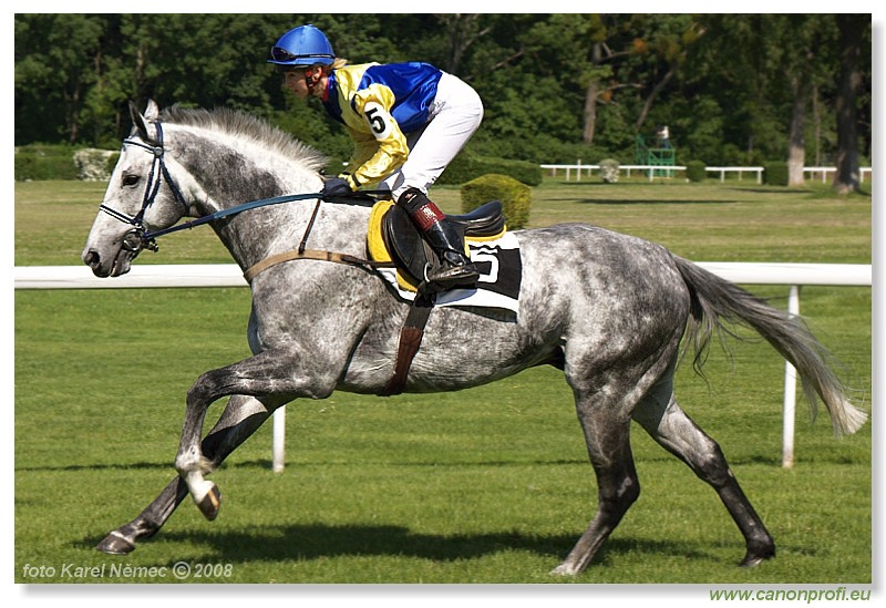 Bratislava - 11. máj 2008 