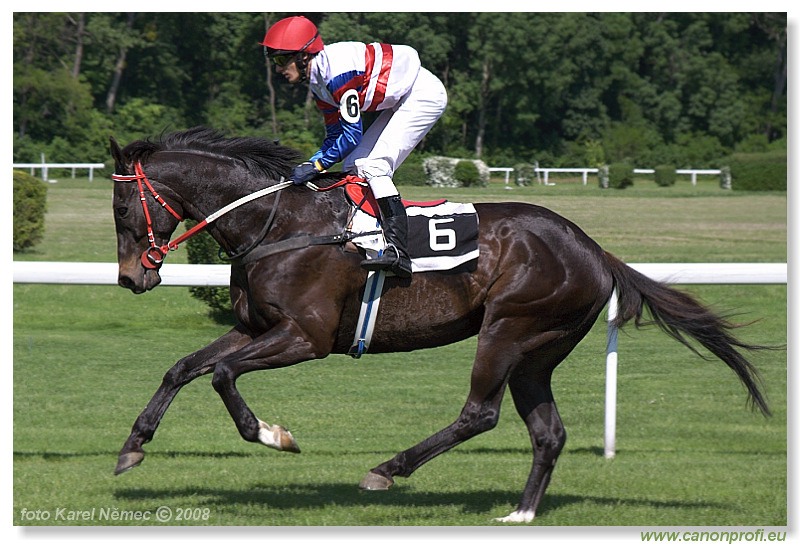 Bratislava - 11. máj 2008 