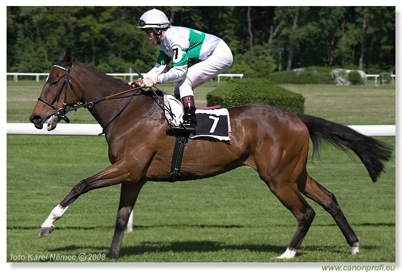 Bratislava - 11. máj 2008 