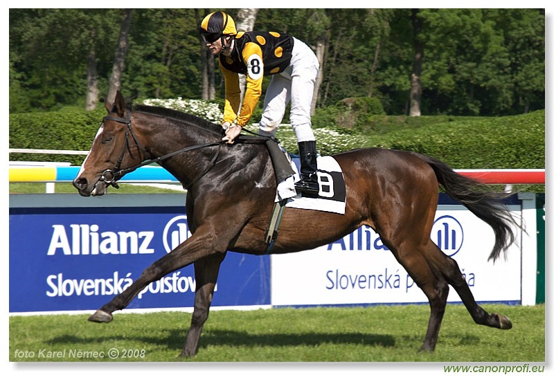 Bratislava - 11. máj 2008 