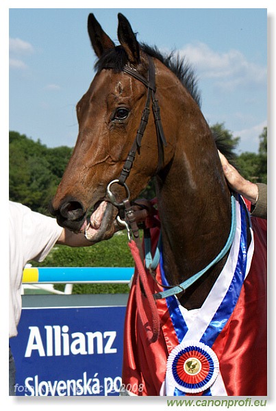 Bratislava - 11. máj 2008 
