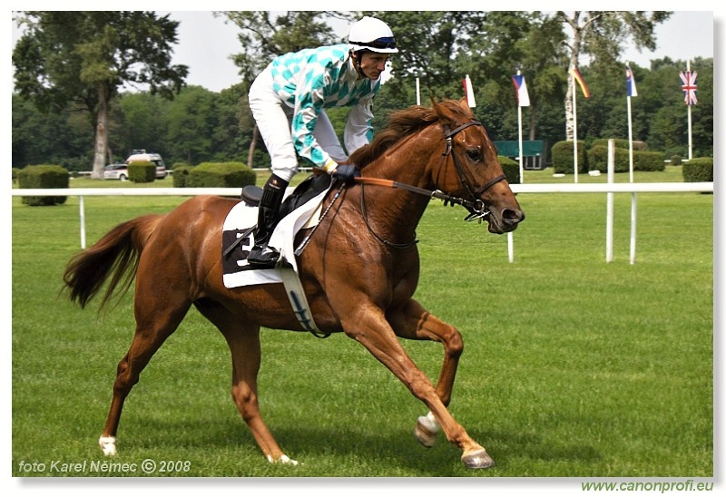 Bratislava - 1. jún 2008 