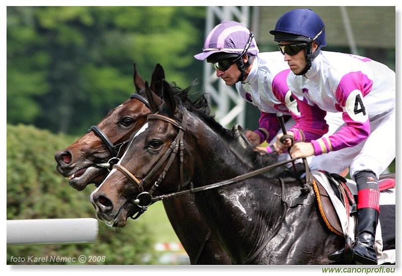 Bratislava - 1. jún 2008 