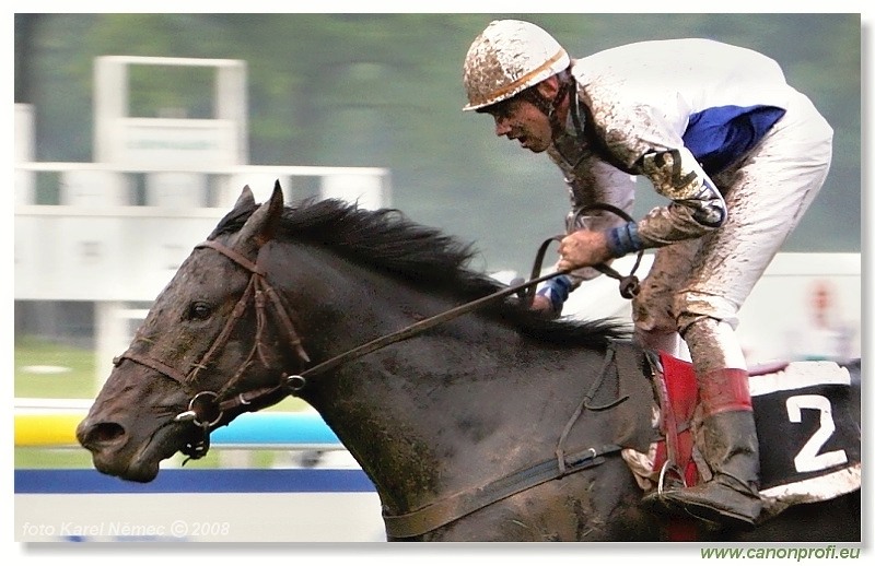 Bratislava - 1. júna 2008 