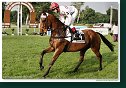 OLIGARCH - Srnec Martin