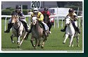 Pony I