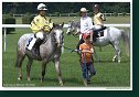 Pony I
