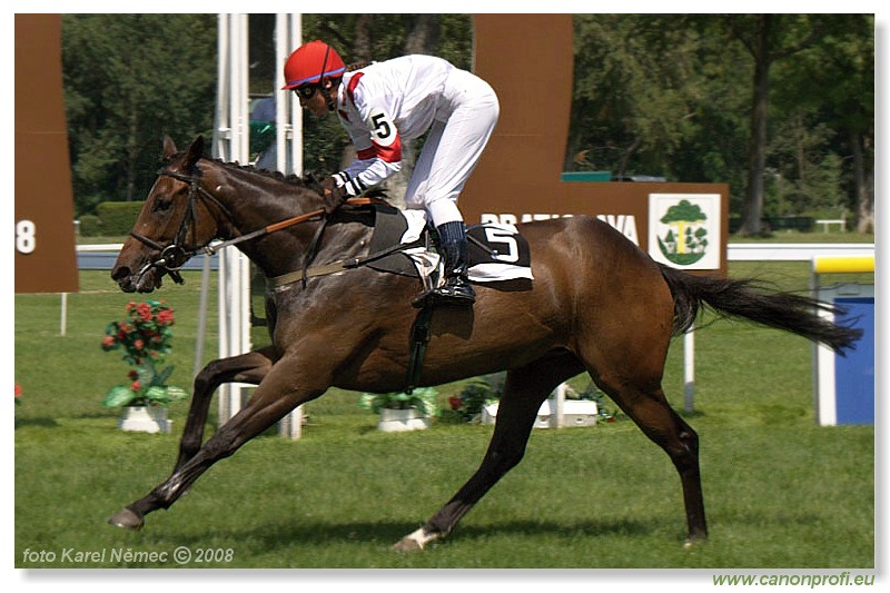 Bratislava - 22. júna 2008 