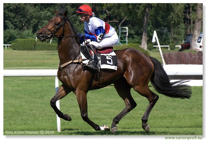 Bratislava - 22. júna 2008 