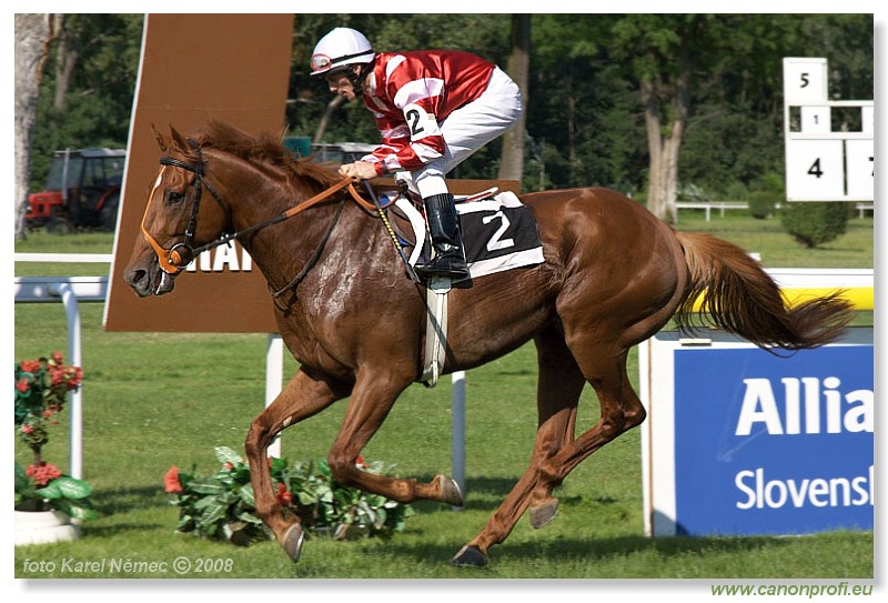 Bratislava - 22. júna 2008 
