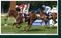 Derby-Trial