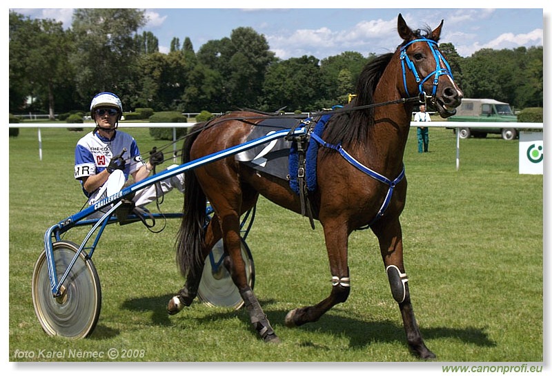 Bratislava - 29. júna 2008 