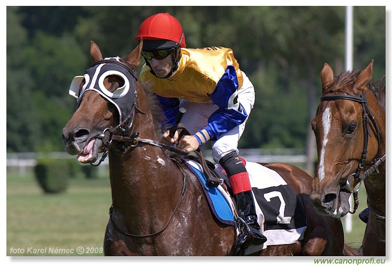 Bratislava - 29. júna 2008 