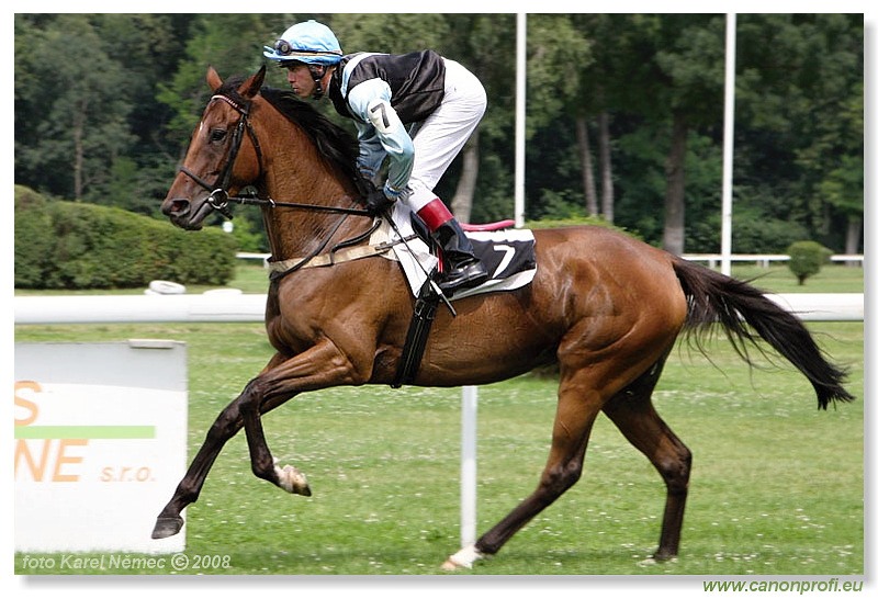 Bratislava - 13. 7. 2008 