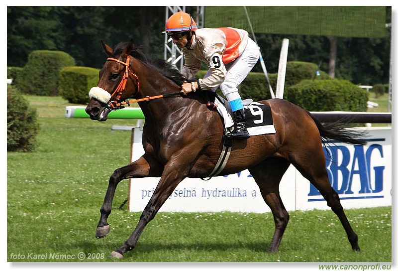 Bratislava - 13. 7. 2008 