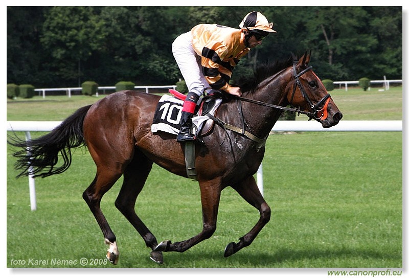 Bratislava - 13. 7. 2008 