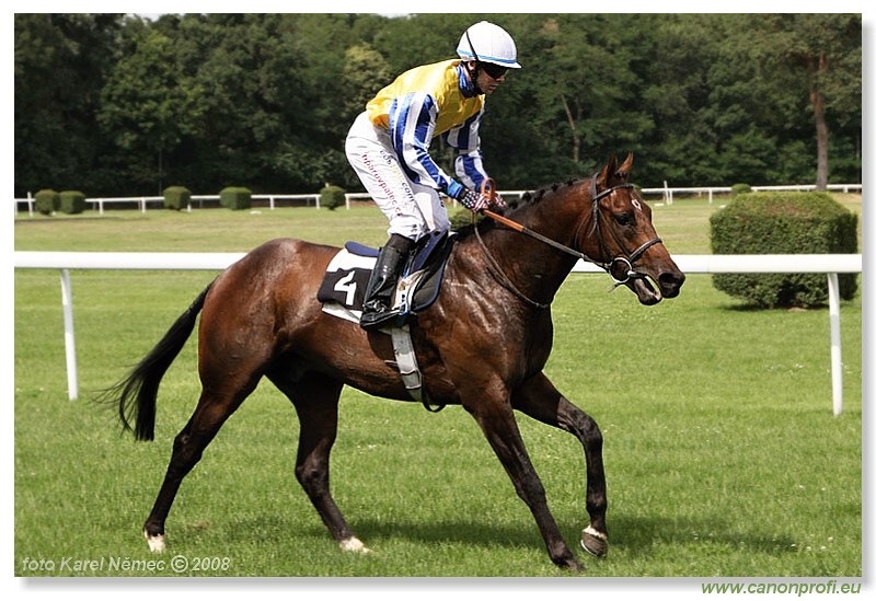 Bratislava - 13. 7. 2008 