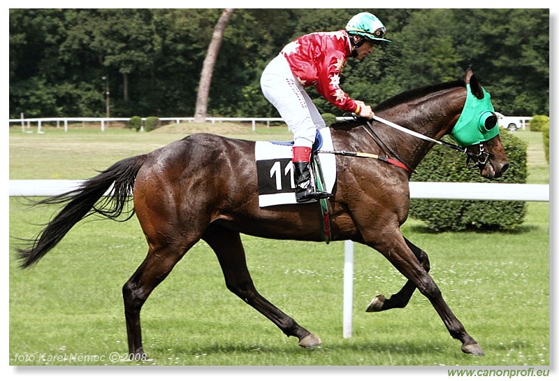 Bratislava - 13. 7. 2008 