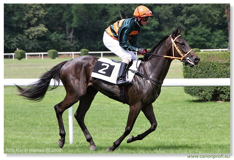 Bratislava - 13. 7. 2008 