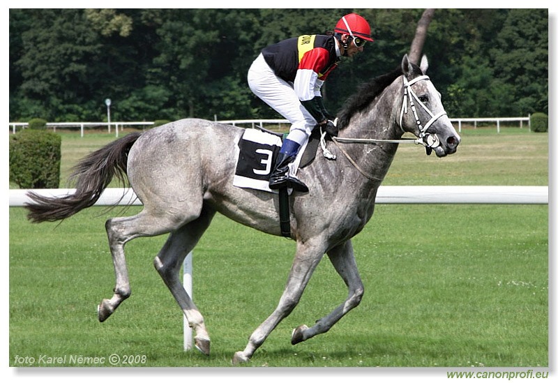 Bratislava - 13. 7. 2008 