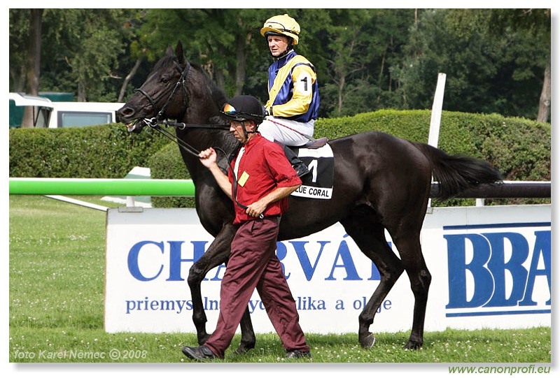 Bratislava - 13. 7. 2008 
