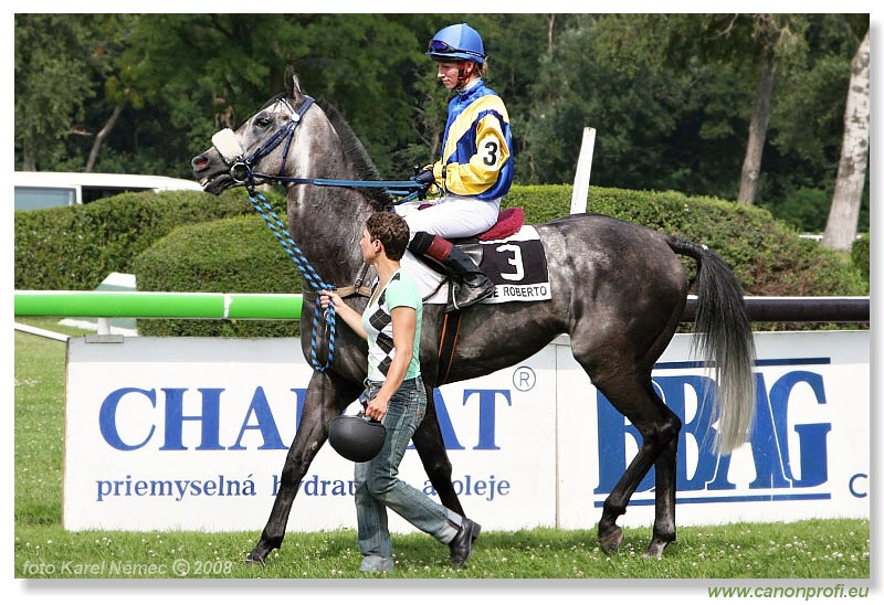 Bratislava - 13. 7. 2008 