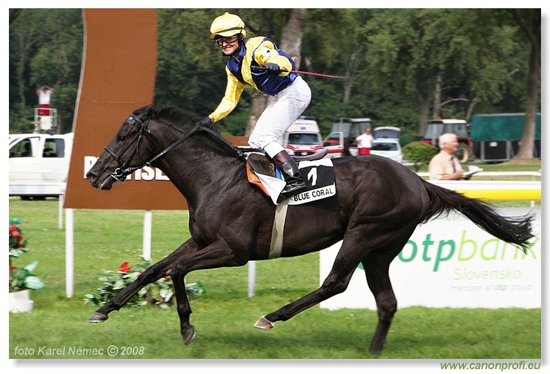 Bratislava - 13. 7. 2008 