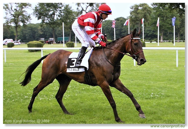 Bratislava - 13. 7. 2008 