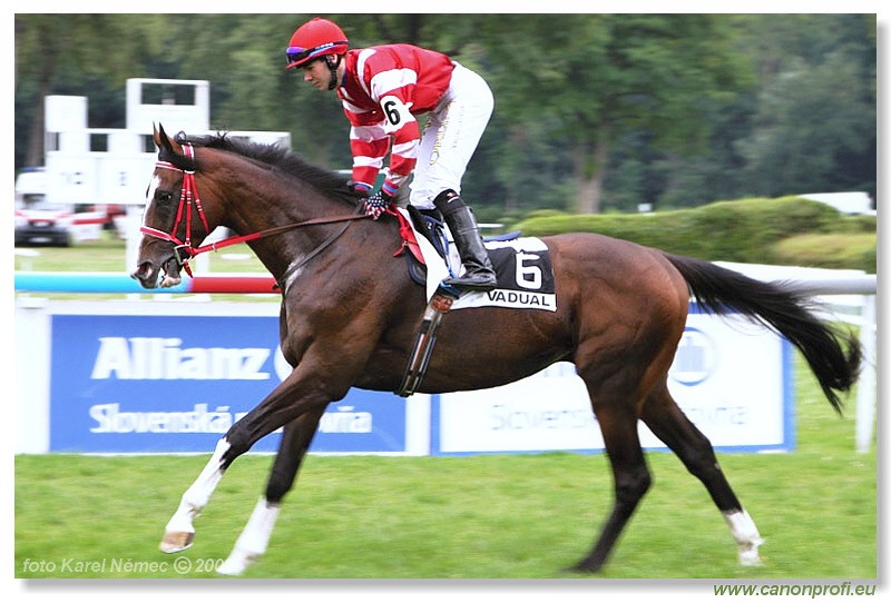 Bratislava - 13. 7. 2008 