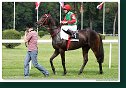 GREEN MAESTRO - Turgajev Anton