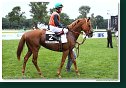 SALDENZAR - Srnec Martin