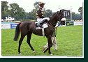 ROYAL GROOM - Havlík Ján