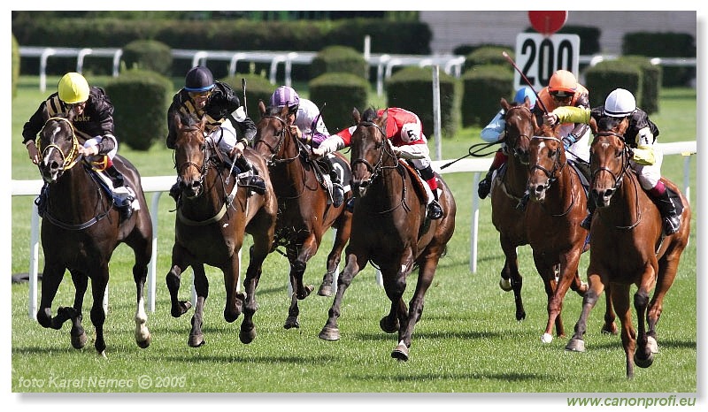 Bratislava - 24. augusta 2008 