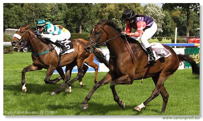 Bratislava - 24. augusta 2008 