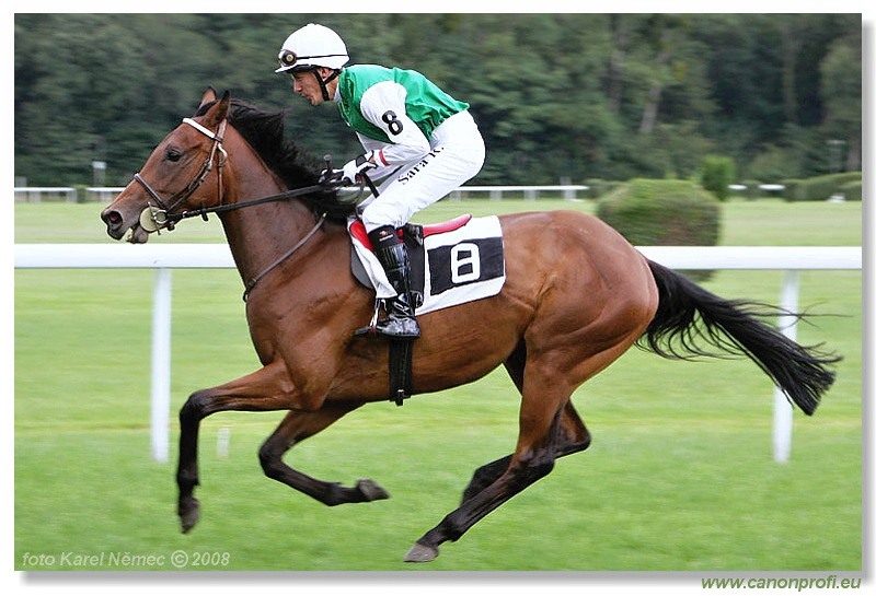 Bratislava - 24. augusta 2008 
