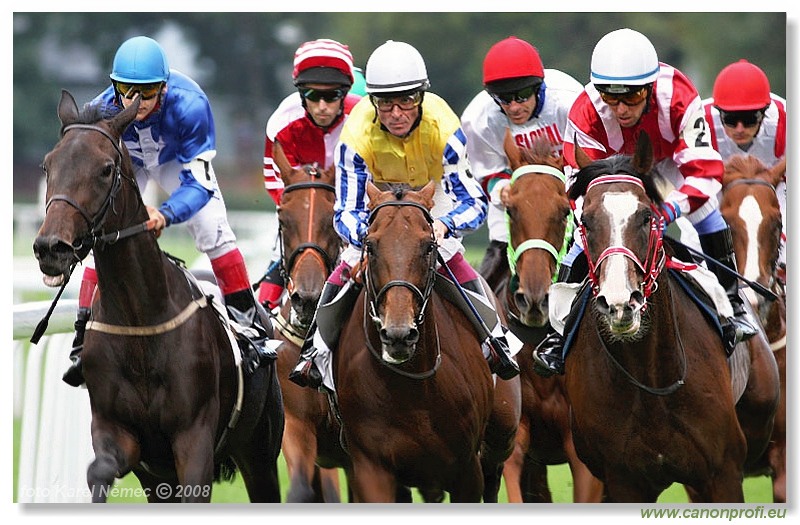 Bratislava - 24. augusta 2008 