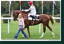 Box Hill - Šara Róbert