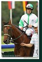 CAMILL - Eddery Paul