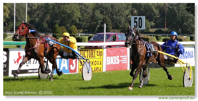 Bratislava - 31. 8. 2008 