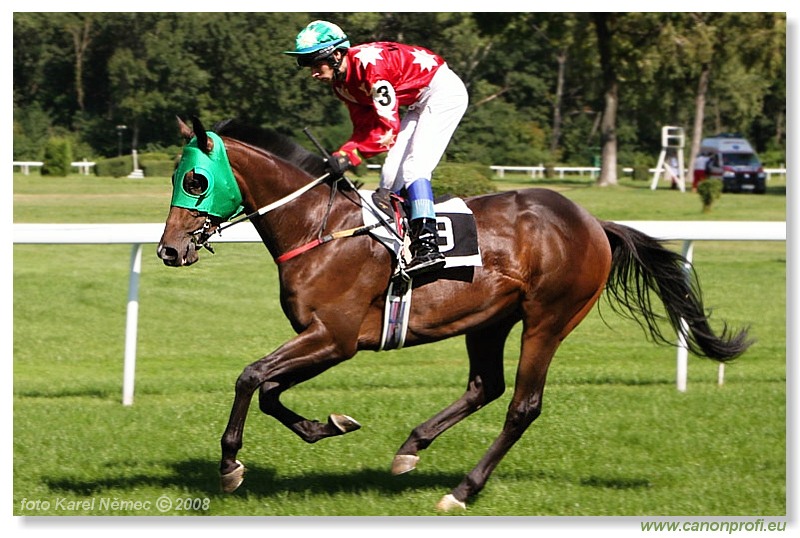 Bratislava - 31. 8. 2008 