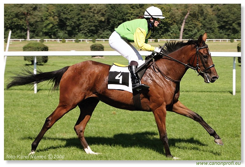 Bratislava - 31. 8. 2008 