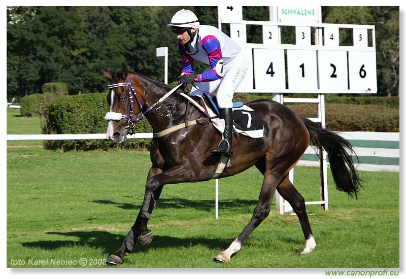 Bratislava - 31. 8. 2008 