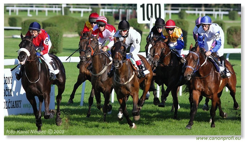 Bratislava - 31. 8. 2008 