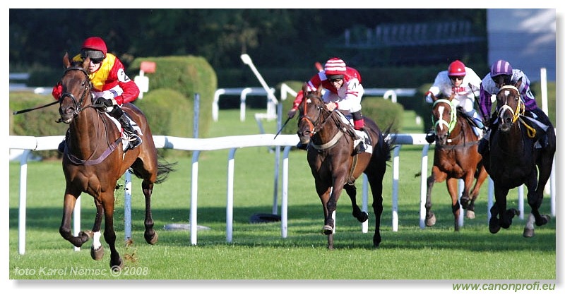 Bratislava - 31. 8. 2008 