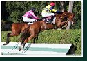 Veľká starohájska steeplechase
