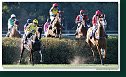 Veľká starohájska steeplechase