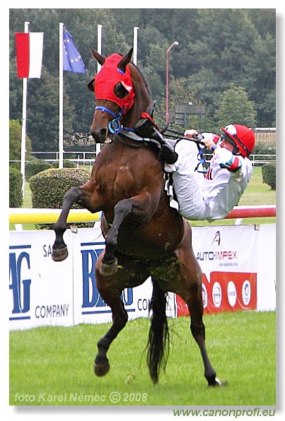Bratislava - 14. septembra 2008 