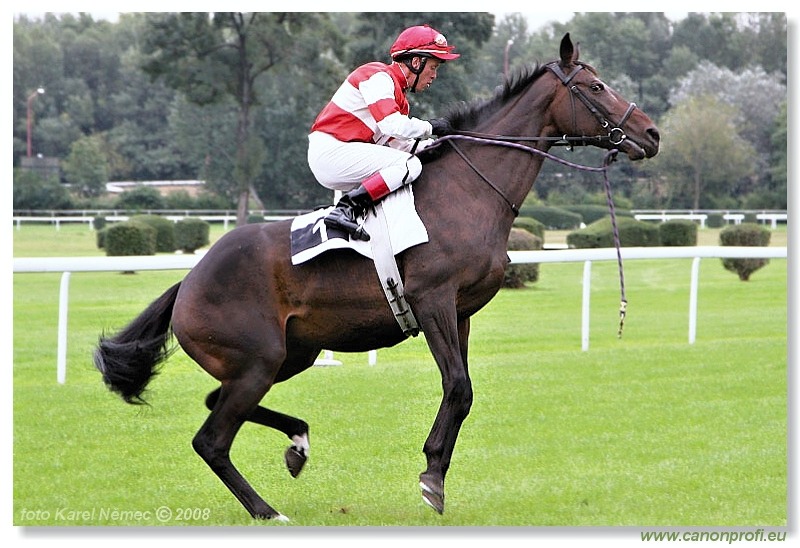 Bratislava - 14. septembra 2008 